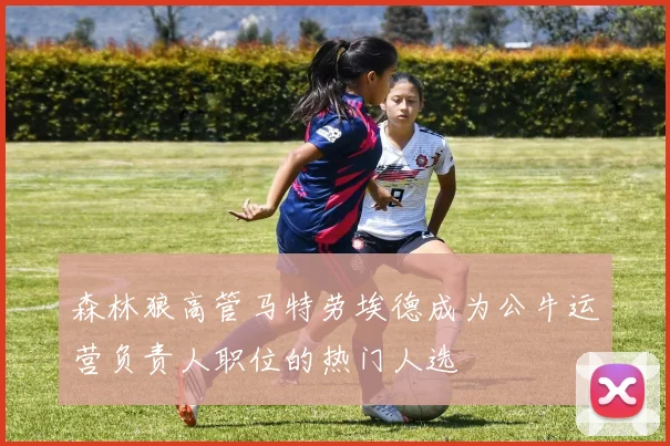 森林狼高管马特劳埃德成为公牛运营负责人职位的热门人选